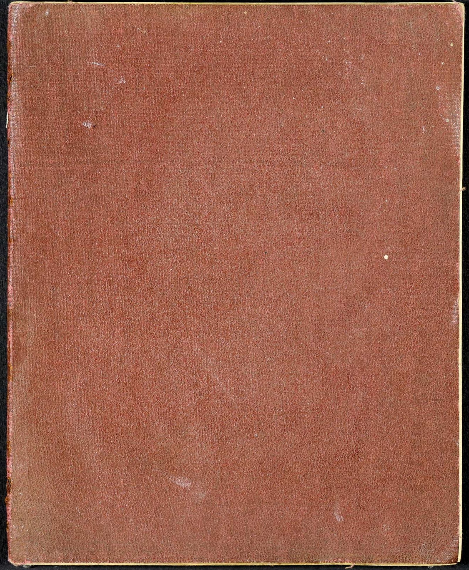Анна Кашинская